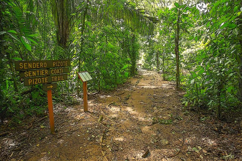 Hacienda Barú National Wildlife Refuge