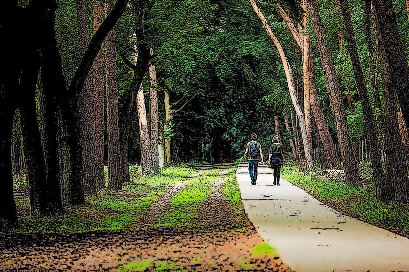 Forest Park of Planken