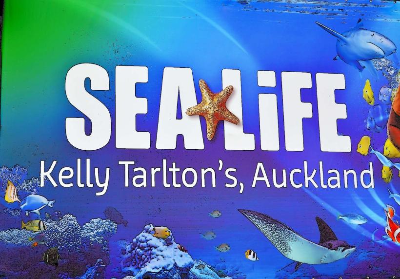 Аквариумът на Sea Life на Кели Тарлтън