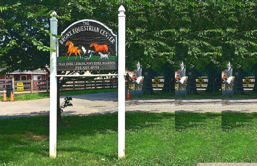 Bronx Center Center е уникално съоръжение за конен кон разположен