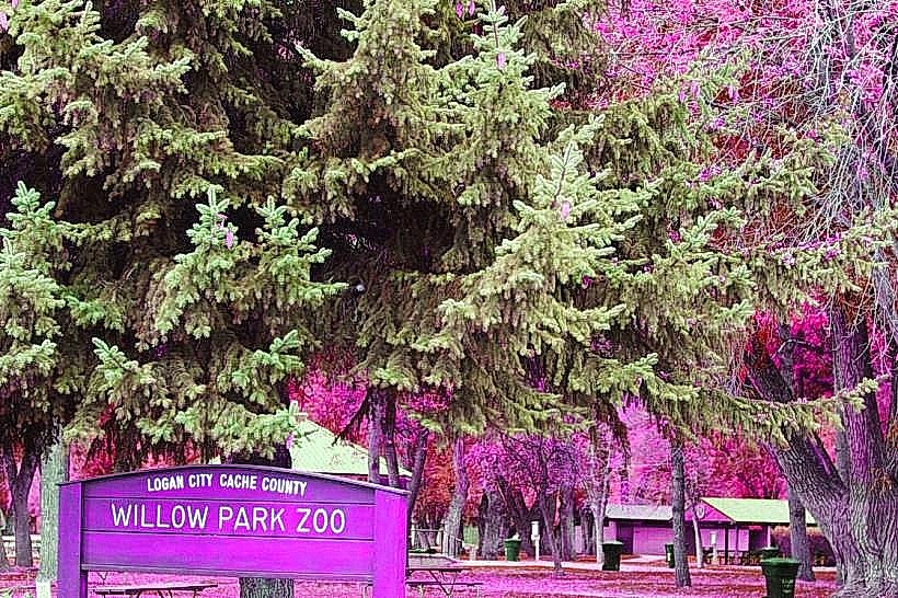 Willow Park Zoo