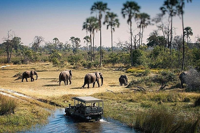 Chobe National Park