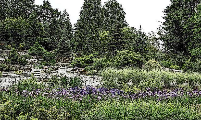 Botanischer Garten Chișinău