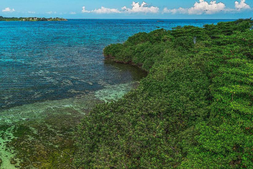 Booby Cay Island е малък необитаем остров разположен точно до