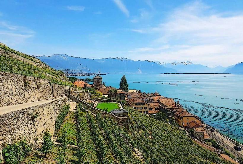 Vignobles de Lavaux