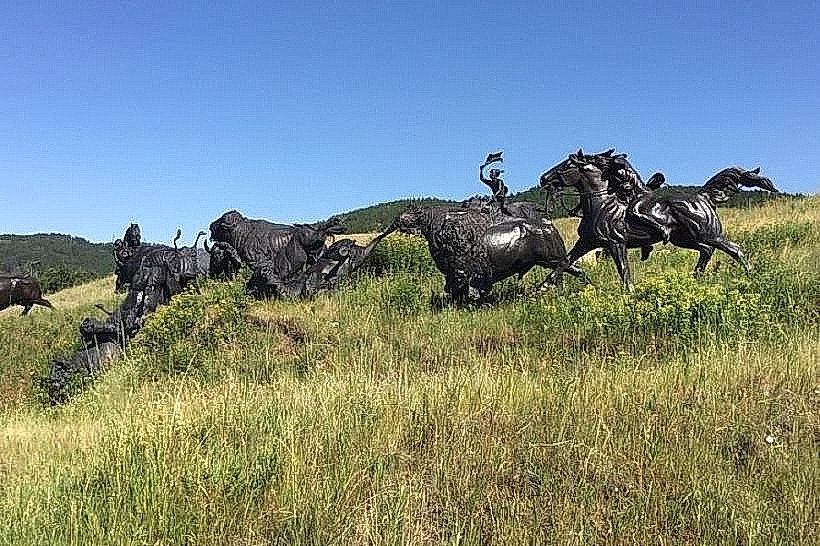 Tatanka: Story of the Bison