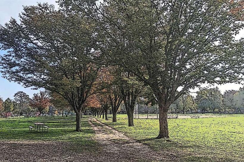 Burns Park
