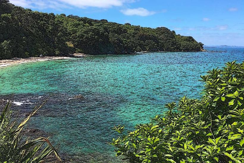 Isla Tiritiri Matangi