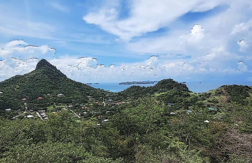 Petit Martinique Nature Trail