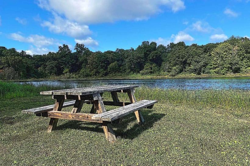 Upjohn Park