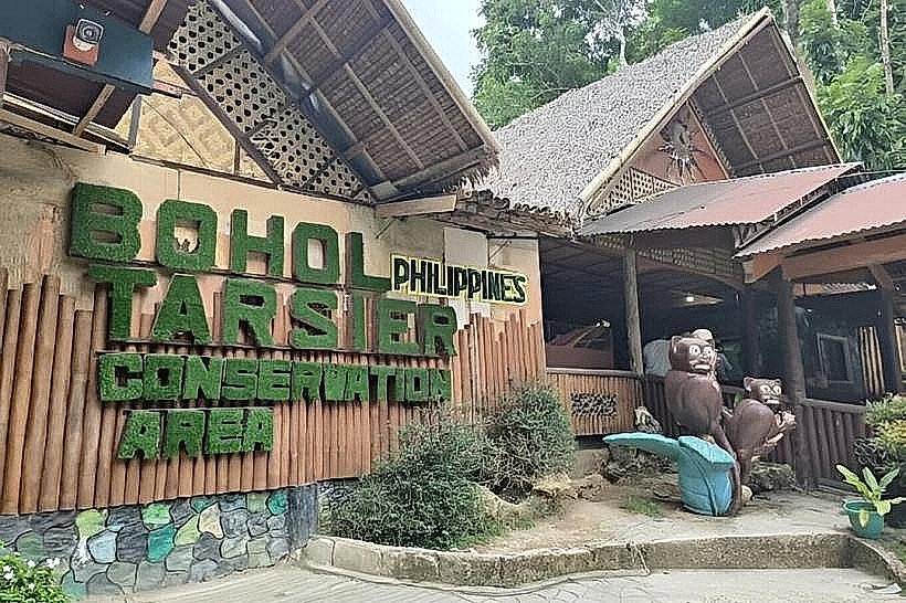 Philippine Tarsier Sanctuary
