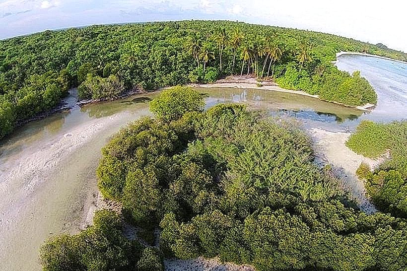Namdrik Freshwater Wetlands