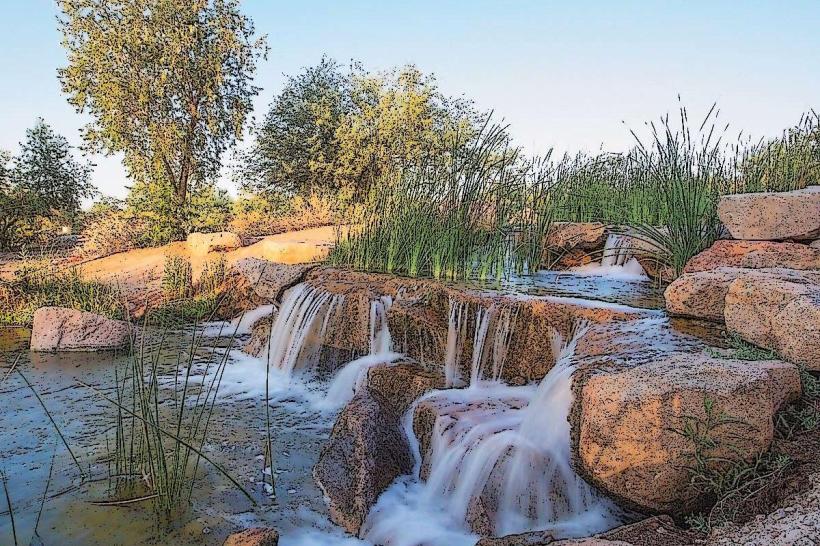 Veterans Oasis Park