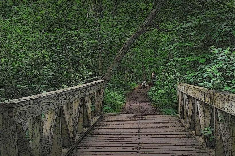 Cold Spring Park