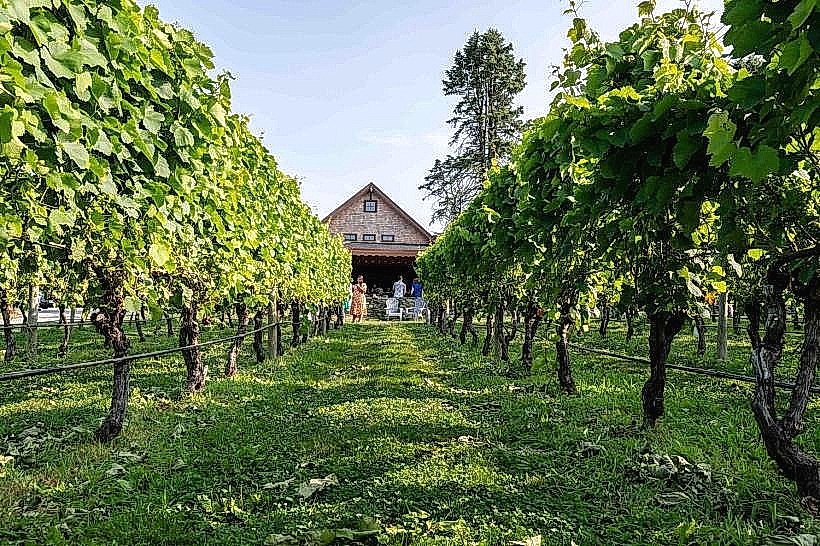 Sakonnet Vineyards