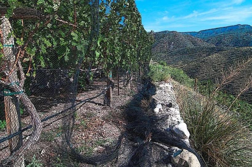 Verde Valley Wine Trail