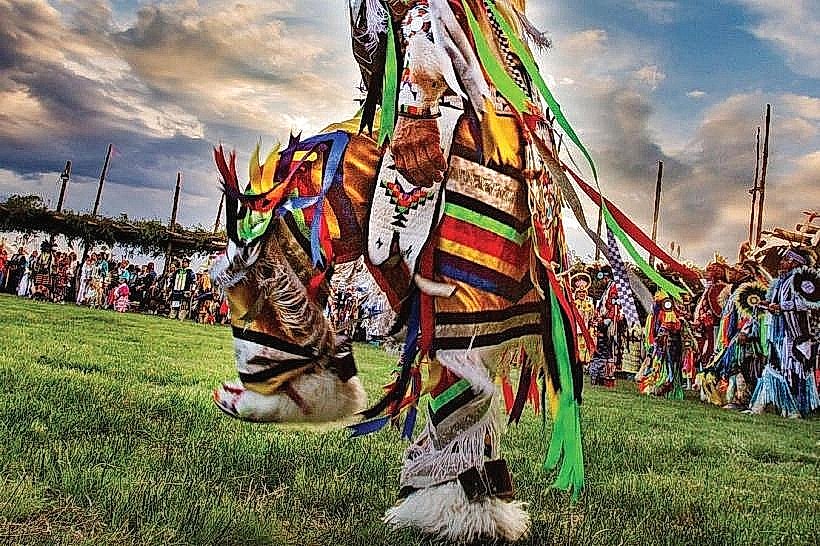 Taos Cow Parade
