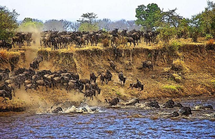 Serengeti миграция точки за гледане Най добрите места за свидетел