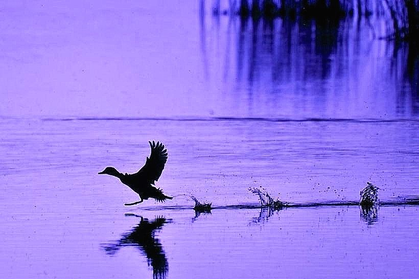 Rock Lake National Wildlife Refuge