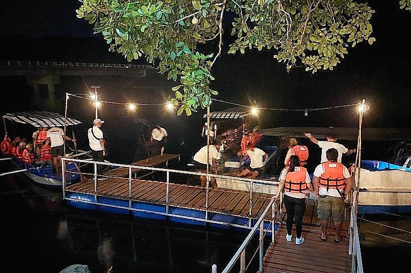 Iwahig Firefly Watching