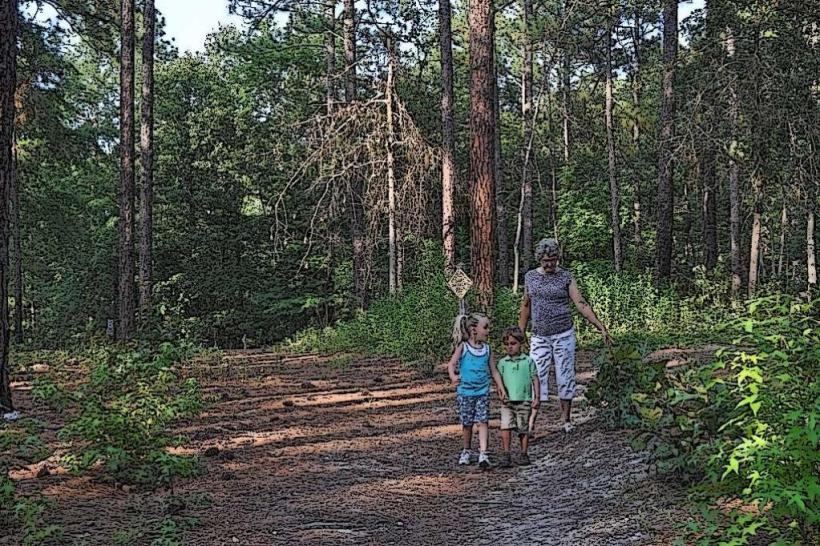 Harbison State Forest