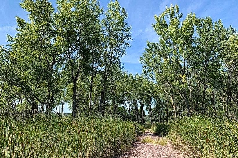 Vermillion River Trail