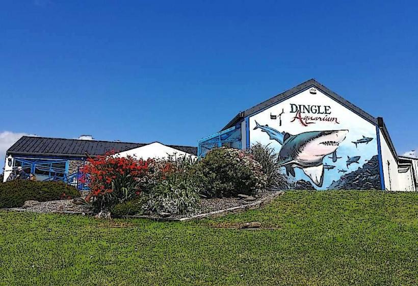 Аквариумът Dingle Oceanworld