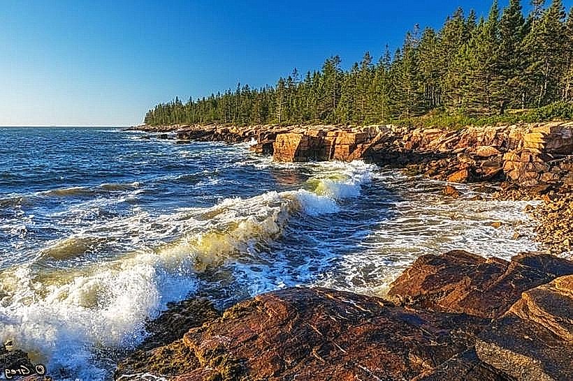 Schoodic Peninsula