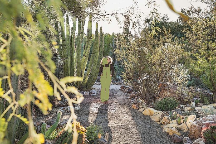 Tucson Botanical Gardens