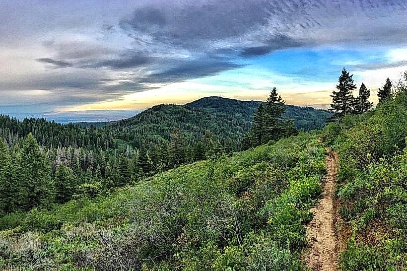 Lions Den Trail