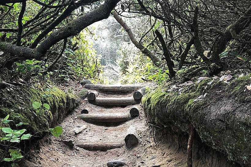 Hobbit Trail