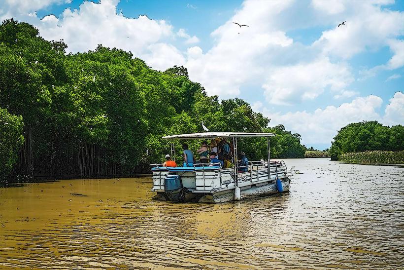 Black River Safari