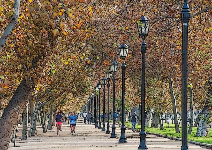 Parque Foreasl е голям обществен парк разположен в сърцето на