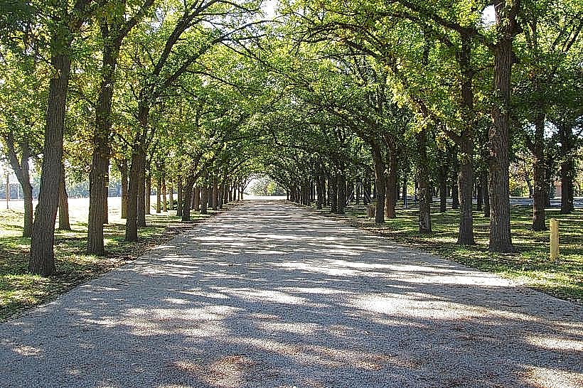 Frontier Park