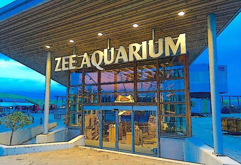 Zee-Aquarium