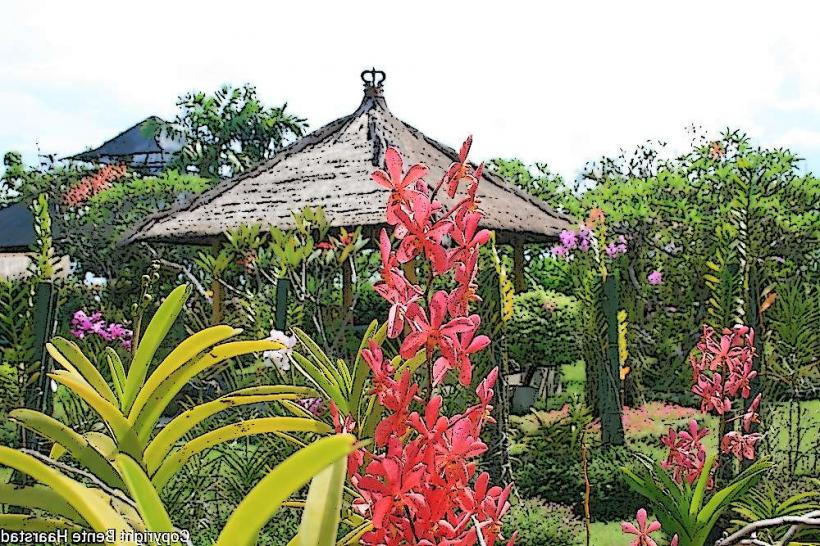 Bali Orchid Garden