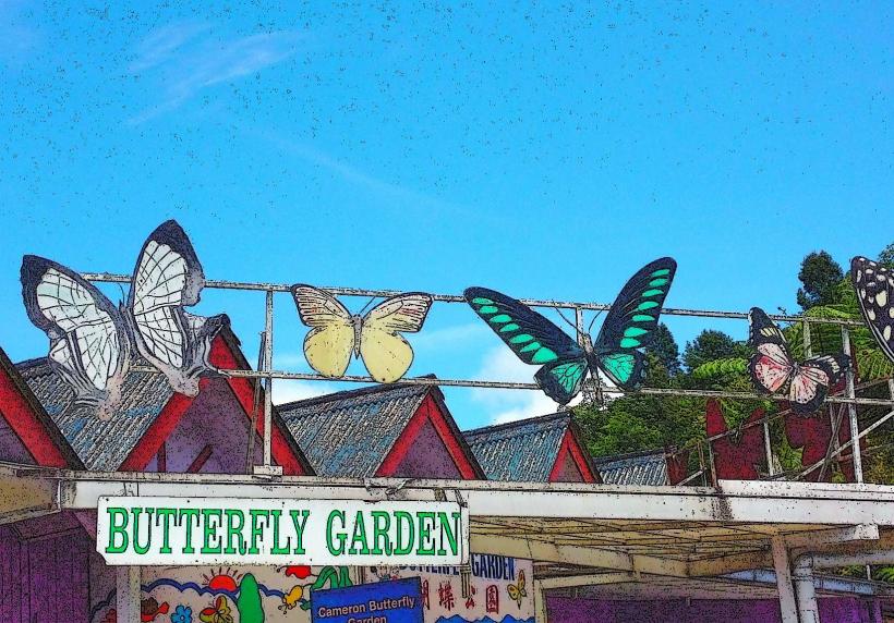 Cameron Highlands Butterfly Garden е една от най популярните атракции