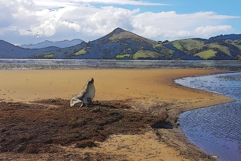 Península de Otago