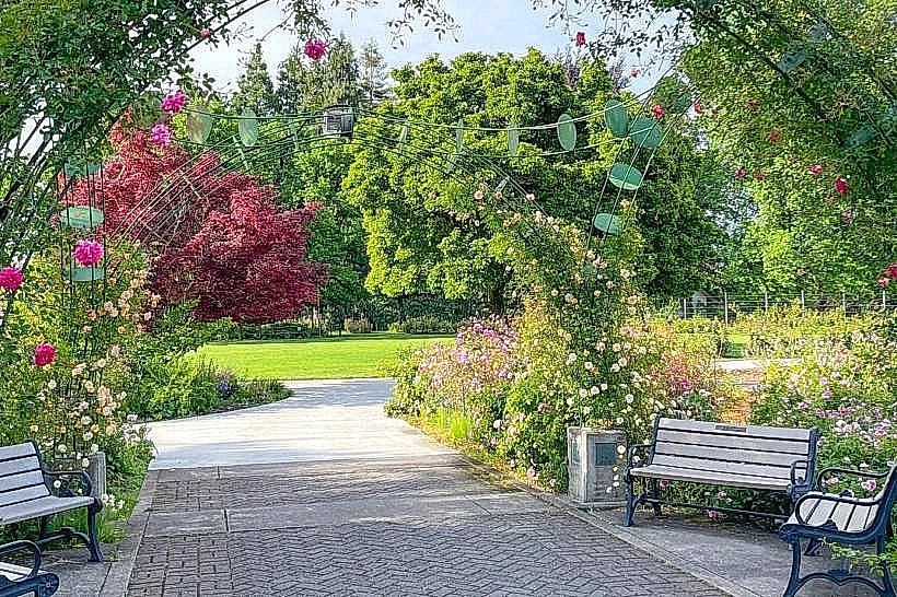 Owen Rose Garden