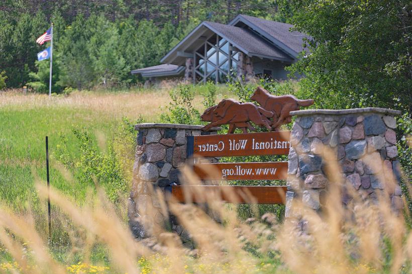 International Wolf Center