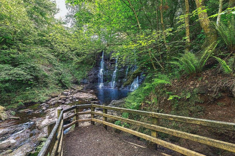 Glenariff Forest Park