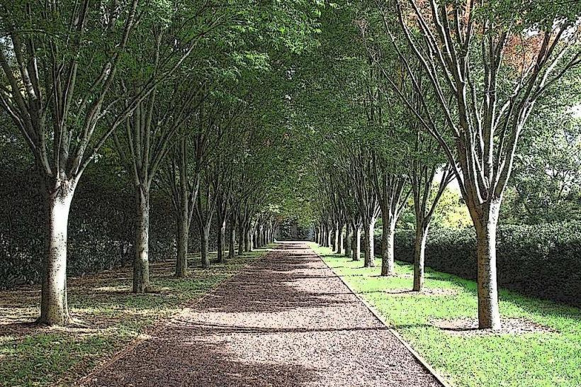 Milliken Arboretum