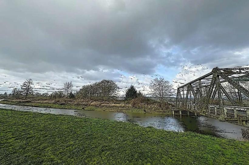 Steamboat Slough Trail