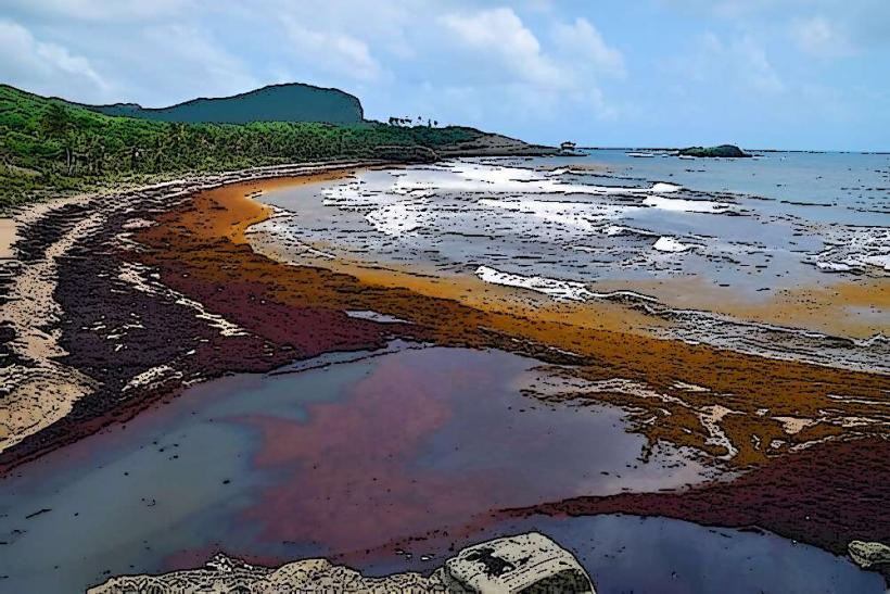 Anse Louvet Beach отдалечен рай в Сейнт Лусия anse louvet