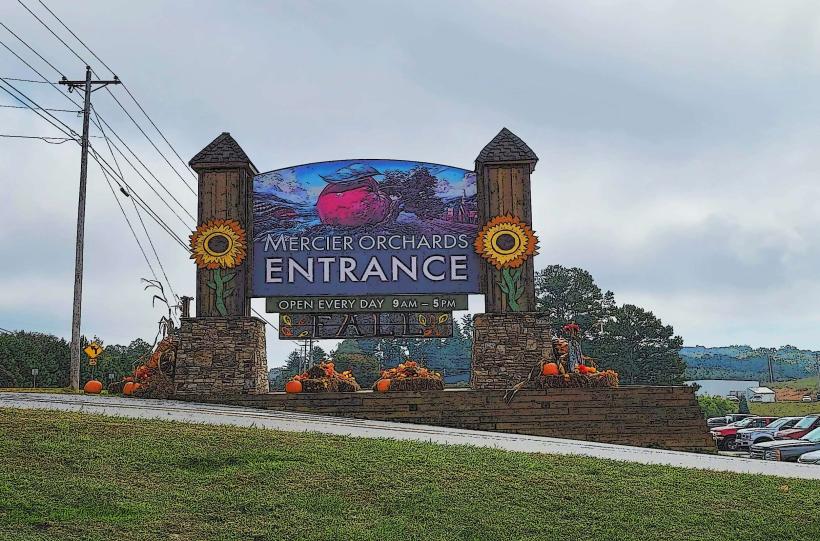Mercier Orchards