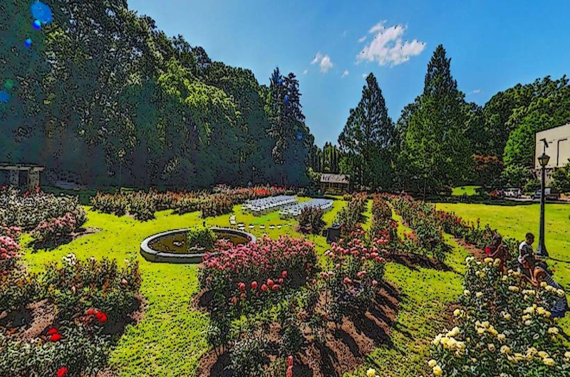 Raleigh Rose Garden