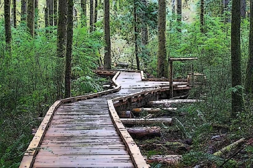Grand Ridge Trail