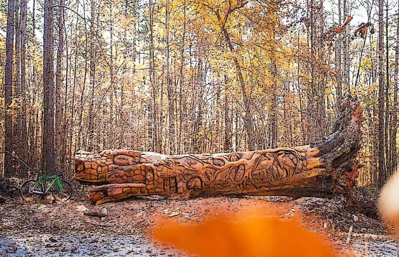 William B. Umstead State Park