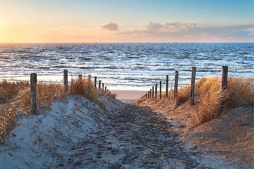 Zandvoort Beach