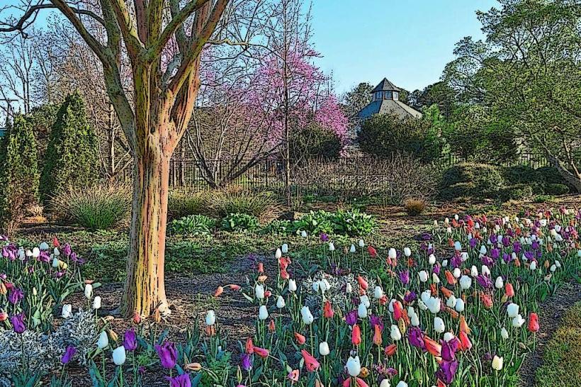 Cape Fear Botanical Garden